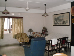 Serangoon Garden Estate (D19), Semi-Detached #172747532